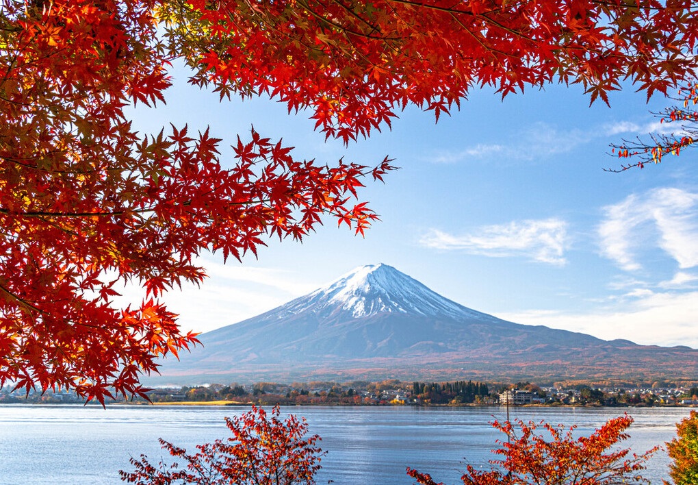 tour-giappone-kawaguchiko-fuji-autunno-2024